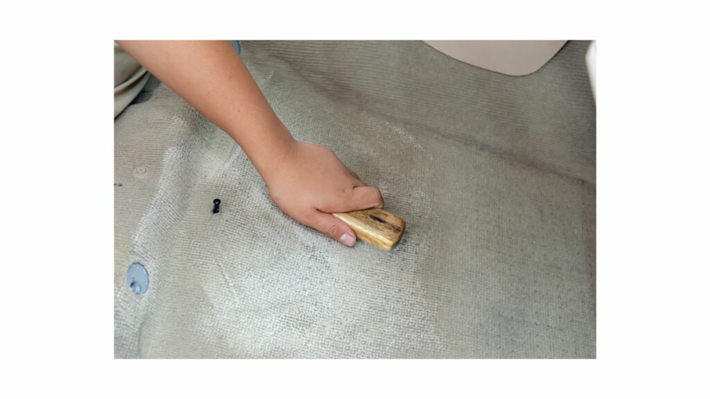 Brushing Car Carpet